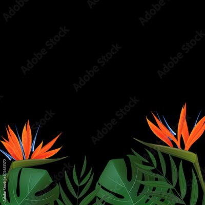 Papier peint  Natural Realistic Green Palm Leaf with Strelitzia Flower Tropical Background. Vector illustration EPS10