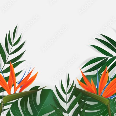 Papier peint  Natural Realistic Green Palm Leaf with Strelitzia Flower Tropical Background. Vector illustration EPS10