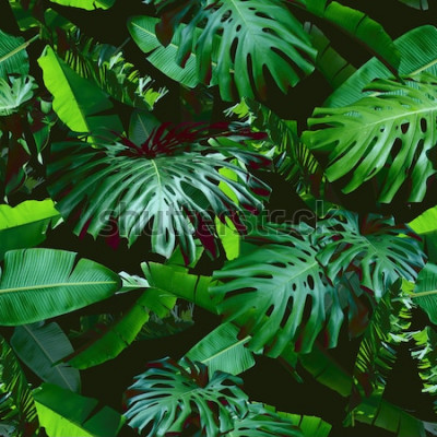 Papier peint  Nature 3D