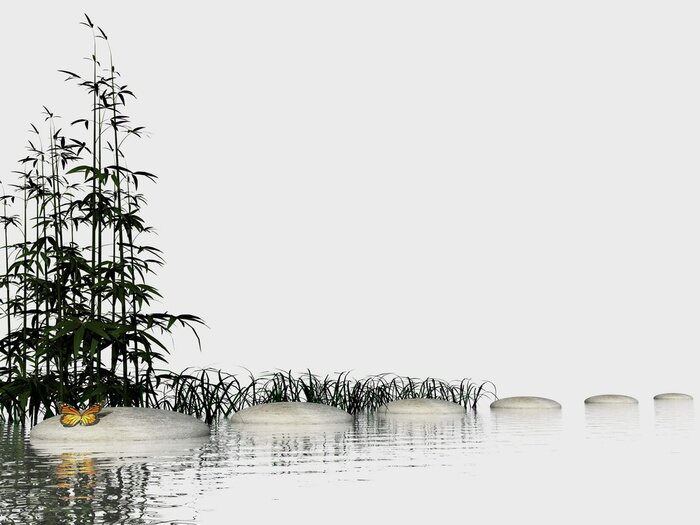 Papier peint  Nature 3D zen