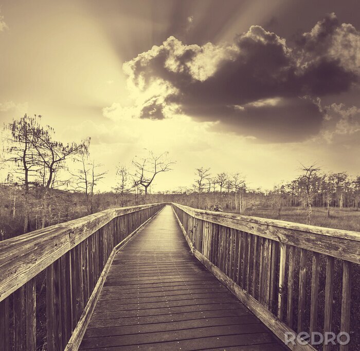 Papier peint  Nature au bord de la jetée