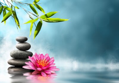 Papier peint  Nature avec pierres et nénuphar