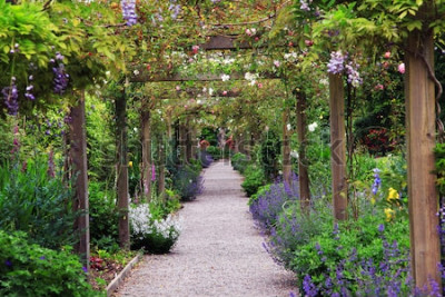 Papier peint  Nature dans un jardin fleuri