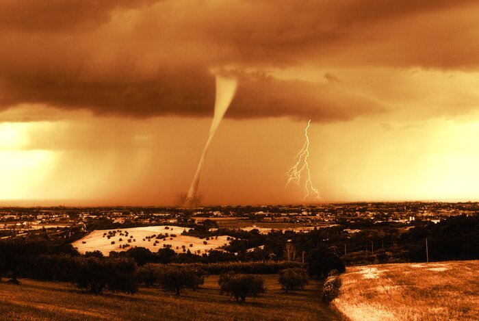 Papier peint  Nature en sépia