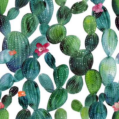 Papier peint  Nature et cactus