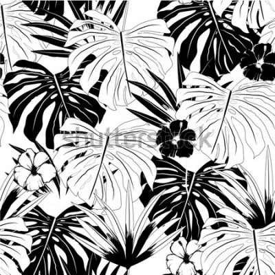 Papier peint  Nature et feuilles en noir et blanc