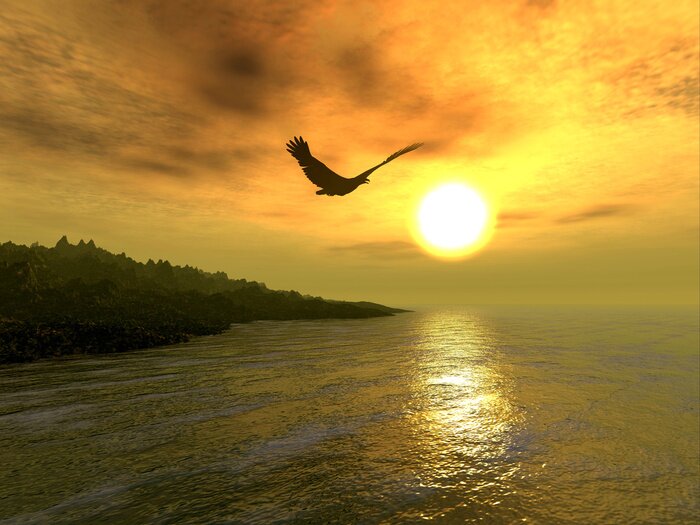 Papier peint  Nature et forêt au bord d'un lac calme