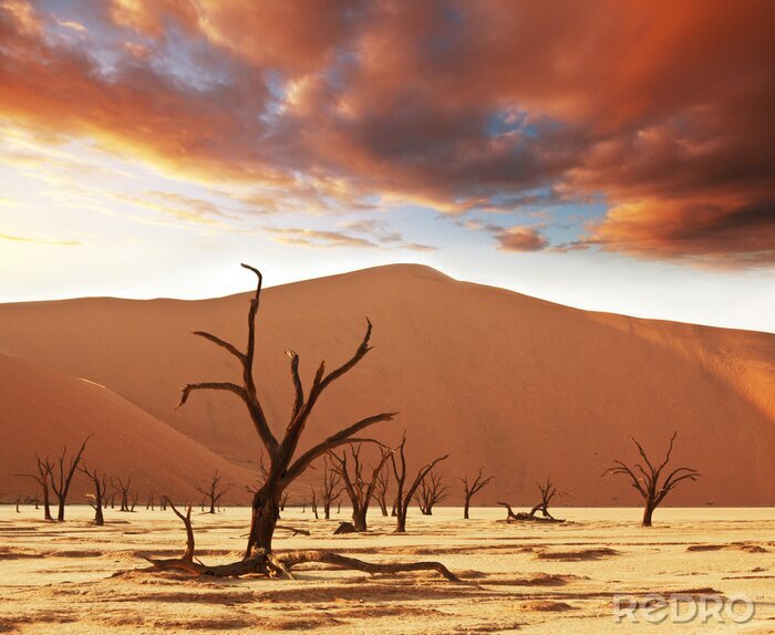Papier peint  Nature et paysages du désert de jour