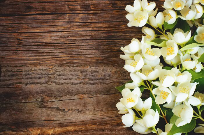 Papier peint  Nature et planches