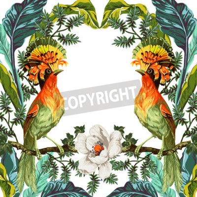 Papier peint  Nature exotique sur fond blanc