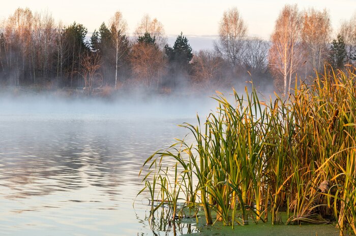 Papier peint  Nature hivernale sur le lac