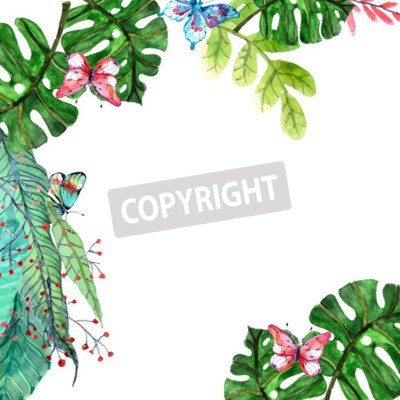 Papier peint  Nature sur fond blanc