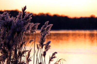 Nature sur le lac au coucher du soleil
