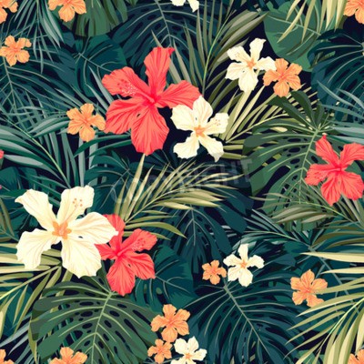 Papier peint  Nature tropicale