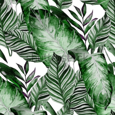 Papier peint  Nature verte en aquarelle