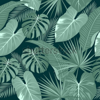 Papier peint  Nature verte tropicale