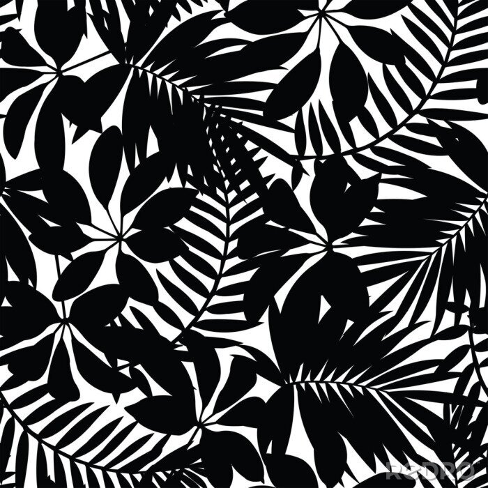Papier peint  Noir, blanc, tropical, feuilles, seamless, modèle