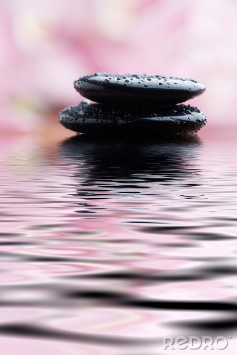 Papier peint  noyaux