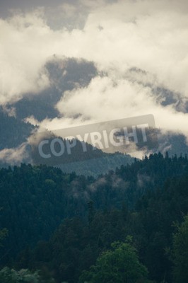 Papier peint  Nuages au-dessus d'une forêt de montagne