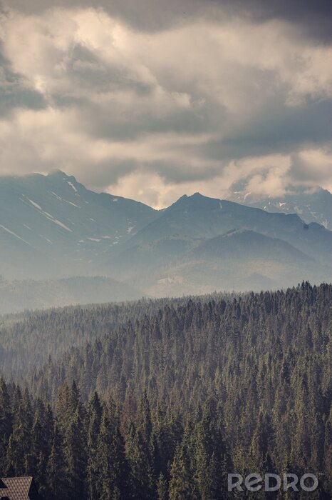 Papier peint  Nuages, montagnes et arbres