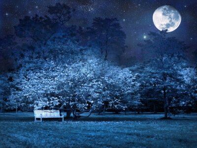 Nuit de pleine lune dans le parc
