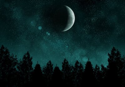 Nuit étoilée avec la forêt et de la lune