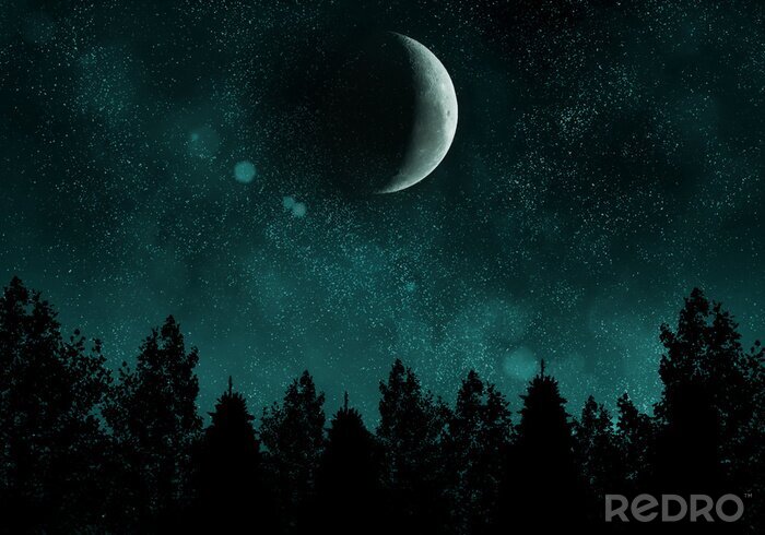 Papier peint  Nuit étoilée avec la forêt et de la lune