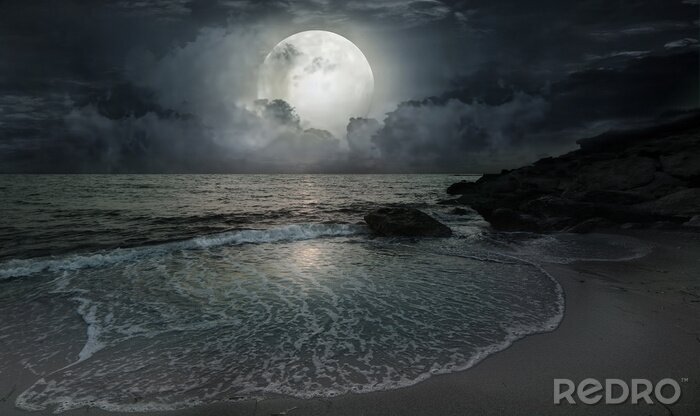 Papier peint  Océan la nuit au clair de lune