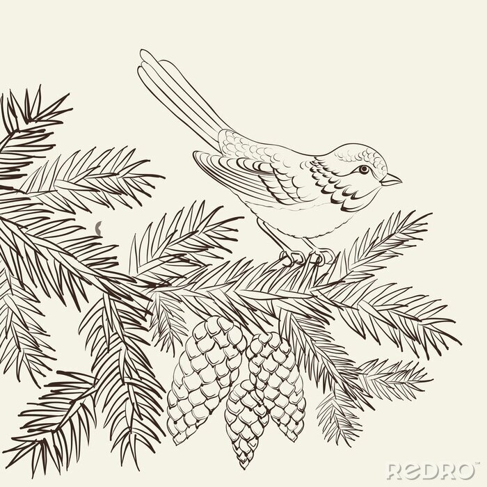 Papier peint  Oiseau assis sur un pin