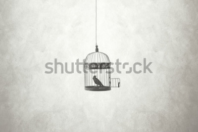 Papier peint  Oiseau dans une cage ouverte