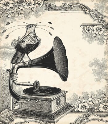 Oiseau de paradis et gramophone