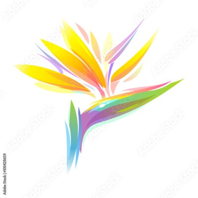 Papier peint  Oiseau de paradis Strelitzia fleur tropicale