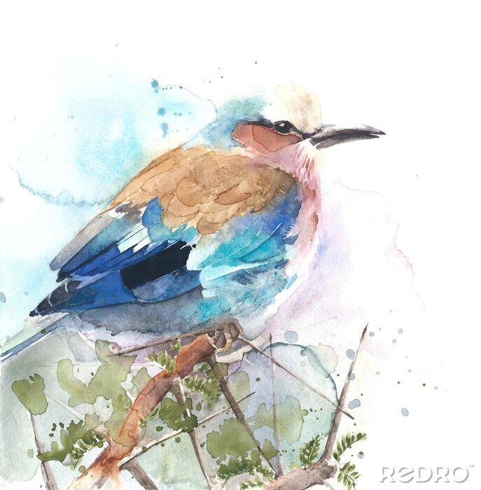 Papier peint  Oiseau délicat aquarelle