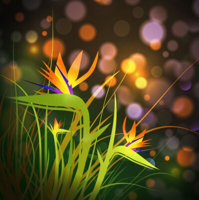 Papier peint  Oiseau du paradis (Strelitzia)