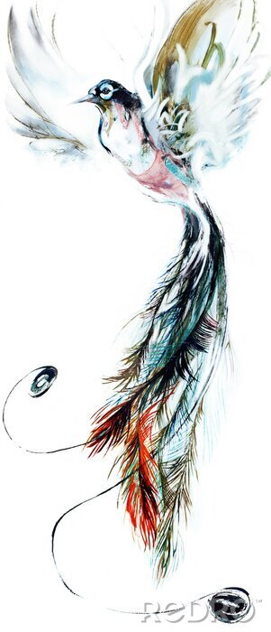 Papier peint  Oiseau paradisiaque en plein vol