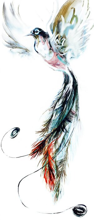 Papier peint  Oiseau paradisiaque en plein vol