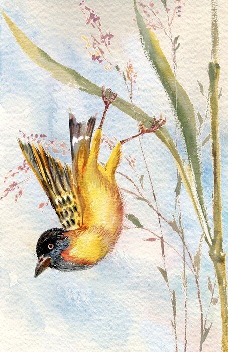 Papier peint  Oiseau sur une brindille