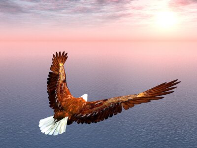 Papier peint  Oiseau volant au-dessus de l'océan