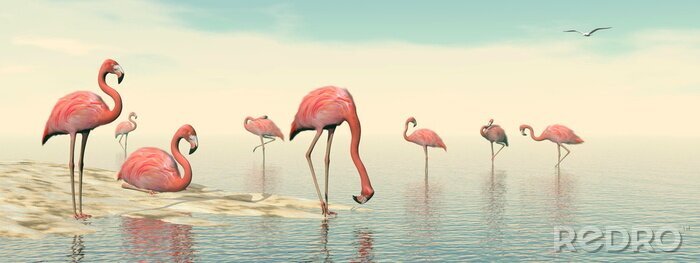 Papier peint  Oiseaux 3D dans l'eau