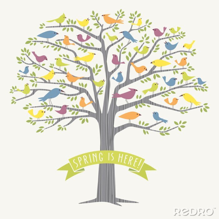 Papier peint  Oiseaux assis sur un arbre au printemps