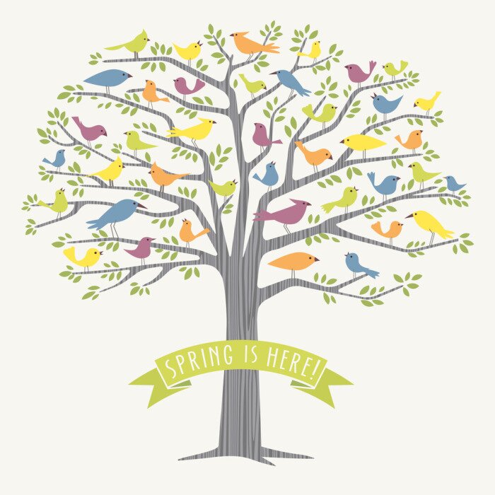 Papier peint  Oiseaux assis sur un arbre au printemps