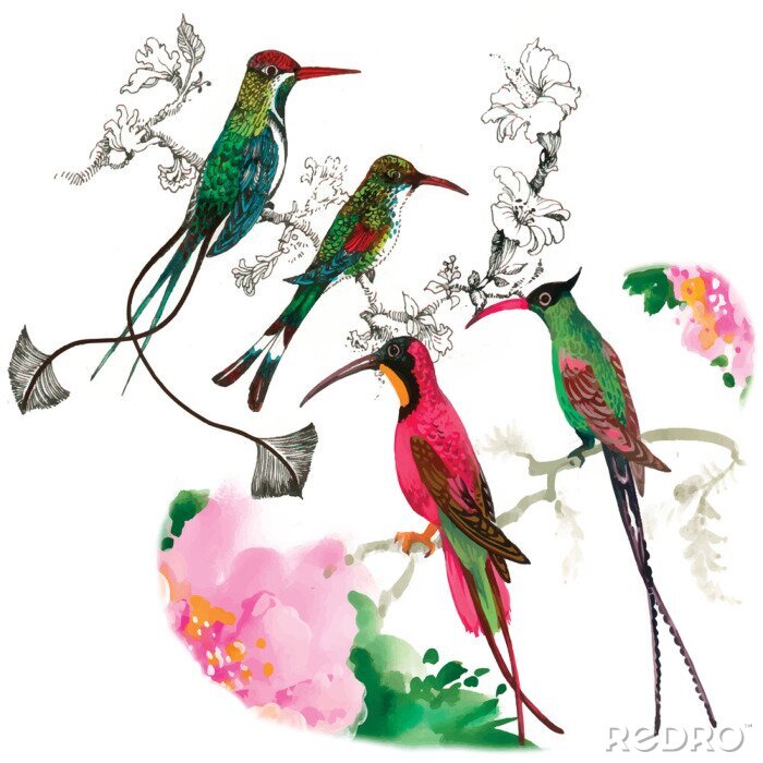 Papier peint  Oiseaux colorés dans un style floral