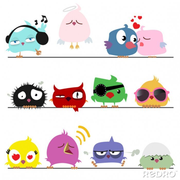 Papier peint  Oiseaux colorés drôles assis dans une rangée