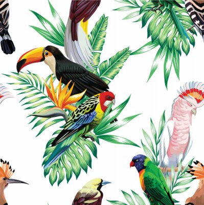 Papier peint  Oiseaux et animaux africains en 3D