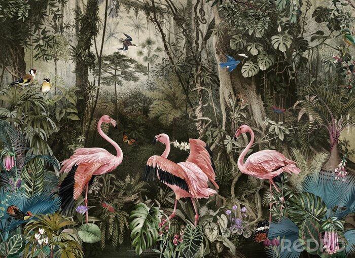 Papier peint  Oiseaux exotiques dans la jungle