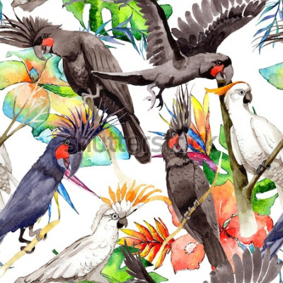 Papier peint  Oiseaux exotiques sur fond de feuilles