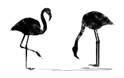 Papier peint  Oiseaux noirs et blancs à rayures