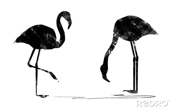 Papier peint  Oiseaux noirs et blancs à rayures