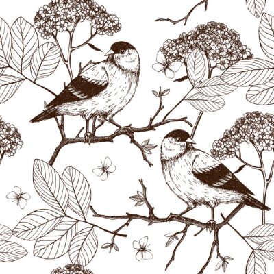 Papier peint  Oiseaux noirs et blancs sur un fond de branches
