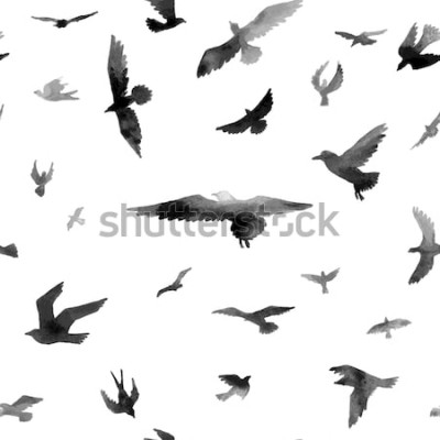 Papier peint  Oiseaux noirs sur fond blanc